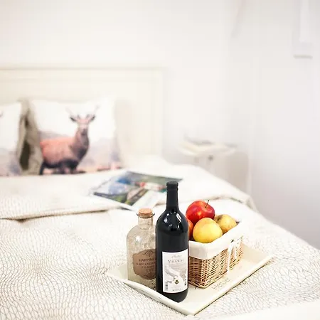 Appartamento White & Vintage *